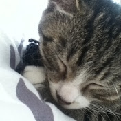 Profile Picture of Lorie Presogna (@loriepresogna7108) on Youtube