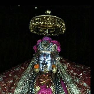 Profile Picture of Forester Tinu Sharma Chaik (@tinu.sharma.754) on Facebook