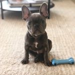 Profile Picture of Gus Fernandez-Loftus (@_gustagram__) on Instagram