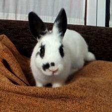 Profile Picture of Sonia Ayala (@soniaayala2002) on Twitter