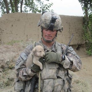 Profile Picture of Brian Eisch (@brianeisch) on Instagram