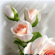 Profile Picture of Harsha Prakash (@harshaprakash3910) on Youtube