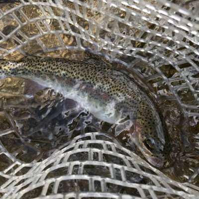 Profile Picture of Brian Spittle (@spittleb) on Twitter