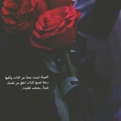 Profile Picture of Pydo 👩🏼‍⚕️ 🥀 (@wjdsxn6AVf6ZQ6s) on Twitter