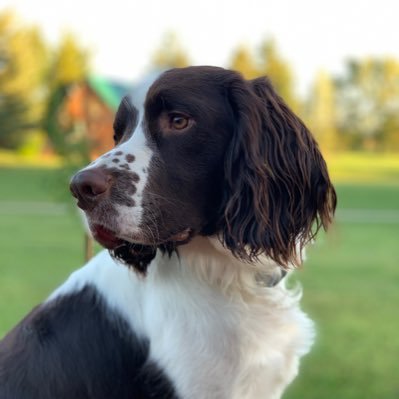 Profile Picture of Glen H. Proctor (@GlenHProctor1) on Twitter