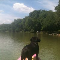 Profile Picture of Kerri Branch Browning (@branchbrowning) on Pinterest