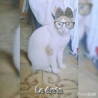 Profile Picture of Romina Mitchell (@romina.mitchell.3) on Facebook