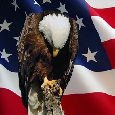 Profile Picture of Dan RODRIGUEZ (@danrodrodriguez) on Twitter