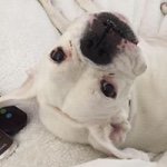 Profile Picture of Conrad Barbera (@ccbarbera) on Instagram