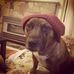 Profile Picture of Ralph Nelms (@ralph.nelms.1) on Facebook