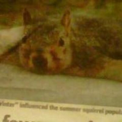 Profile Picture of Craig Vance (@ChiCraig) on Twitter