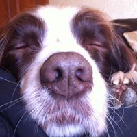 Profile Picture of Lisa Dunlop (@lisa-dunlop-9) on Quora