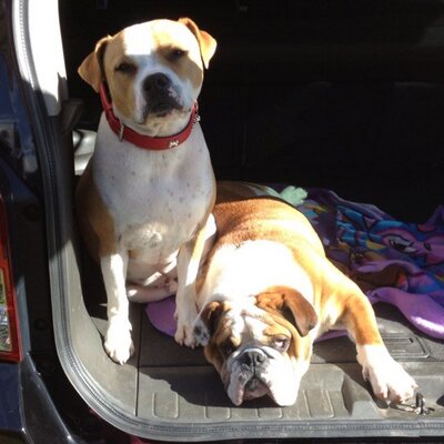 Profile Picture of Garry Mellor (@4Mellors) on Twitter