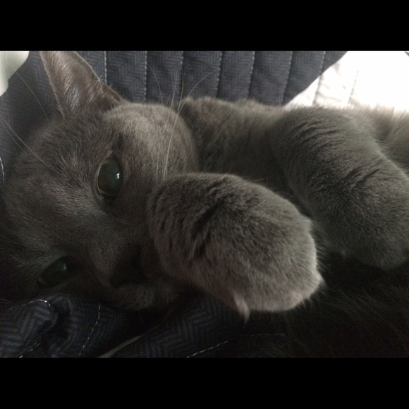 Profile Picture of Sadie Duebber (@sduebber14) on Poshmark