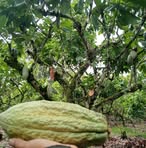 Profile Picture of Muh Kausart (@muh.kausart) on Facebook