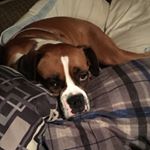 Profile Picture of James Cothran (@jamescothran) on Instagram