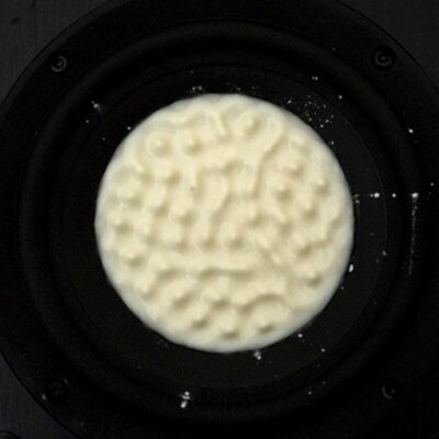 Profile Picture of Joshua Y'Barbo (@Josh_YB6) on Twitter