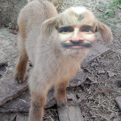 Profile Picture of Joey Panek (@TheRealJoePanek) on Twitter