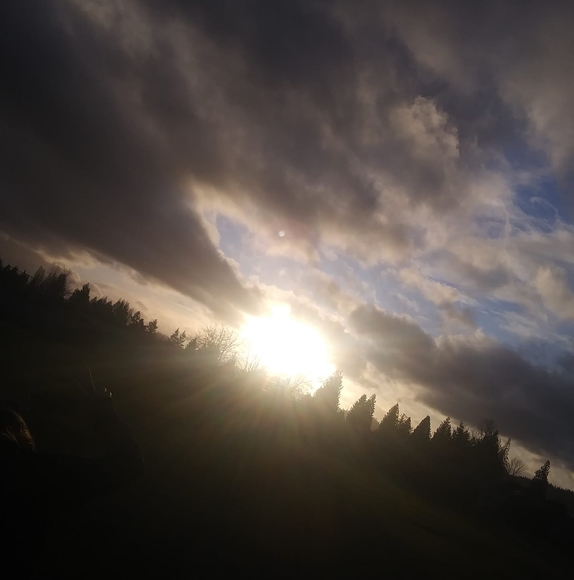 Profile Picture of Bubba Bear (@troylott6206) on Poshmark