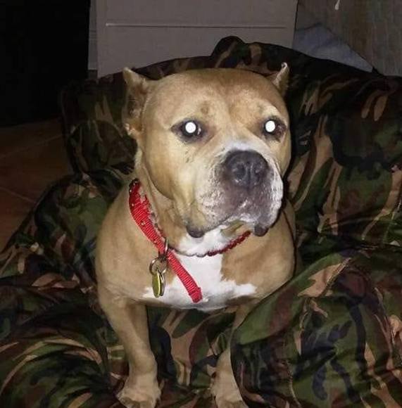 Profile Picture of Helen Roberts (@hlnrbts5) on Poshmark