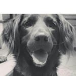 Profile Picture of Erik hartmann (@erik_1298) on Instagram