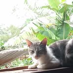 David Israel Cortes Cerna - Facebook Profile Picture of David Israel Cortes Cerna (@david.israel.cortes.cerna) on Facebook