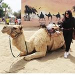 Profile Picture of Leduc Anne-Laure (@leducannelaure) on Instagram