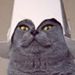 Profile Picture of Garrett Walsh (@walshgarrett) on Pinterest