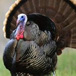 Profile Picture of 김민우 (@rupert_oj_kim) on Instagram