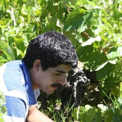 Profile Picture of Mauricio Gonzalez C. (@GonzalezCMauro) on Twitter