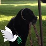 Profile Picture of Janet Schumacher (@schumacher3963) on Instagram