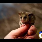 Profile Picture of Bobby Halverson (@bobby_halverson) on Instagram