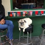 Profile Picture of Jim Kessler (@downwindjim) on Instagram