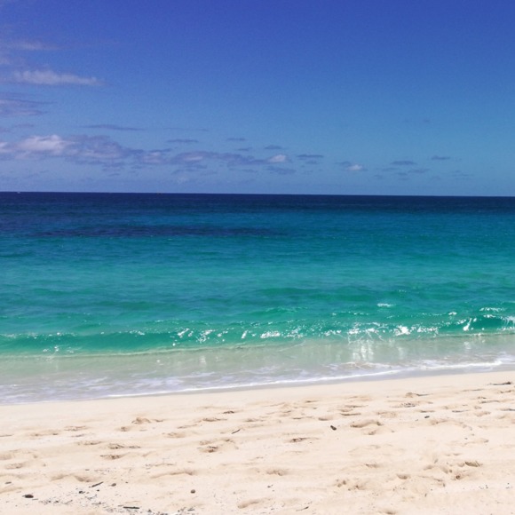 Profile Picture of Diane Weakley (@dsw444) on Poshmark