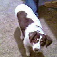 Profile Picture of Michael Grella (@michael-grella-1) on Quora