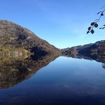 Profile Picture of Noel Walsh (@noelwalsh83) on Instagram