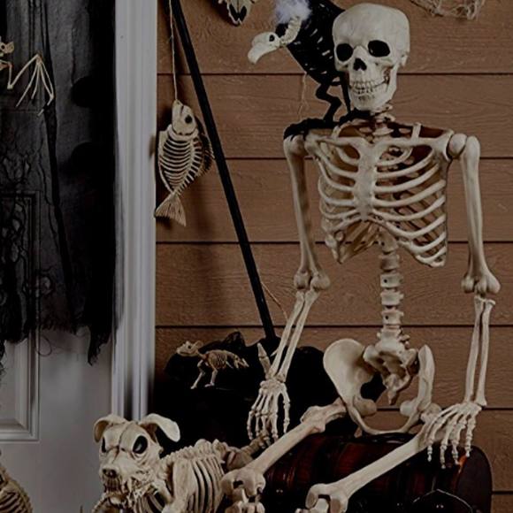 Profile Picture of Anthony Chiappini (@anthonychip) on Poshmark