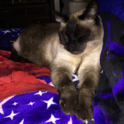 Profile Picture of Renee (@JuliaStokes18) on Twitter
