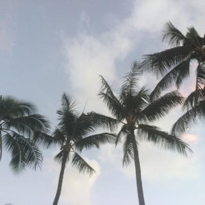 Profile Picture of Alison Hermannon Twitter