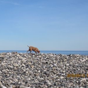 Profile Picture of Summer Rain :) (@mio_mitchell52) on Twitter