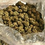 Profile Picture of BrianMoore (@brianmoore475) on Instagram