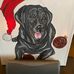 Profile Picture of Steve Kohut (@steve.kohut.52) on Facebook