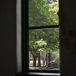 Profile Picture of Aline Rocha (@linesrocha) on Flickr