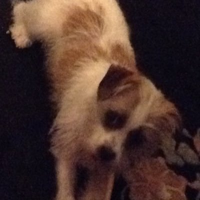 Profile Picture of Phyllis Arnold (@phyllismarnold) on Twitter