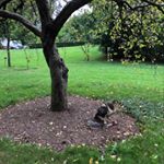 Mary Jedlicka - Instagram Profile Picture of Mary Jedlicka (@mary_xoxo_078) on Instagram