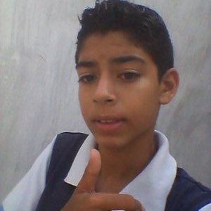 Profile Picture of Adrian Castelo (@AdrianCastelo6) on Twitter