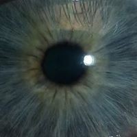 Profile Picture of Thomas E Pelfrey (@thomas-e-pelfrey) on Quora