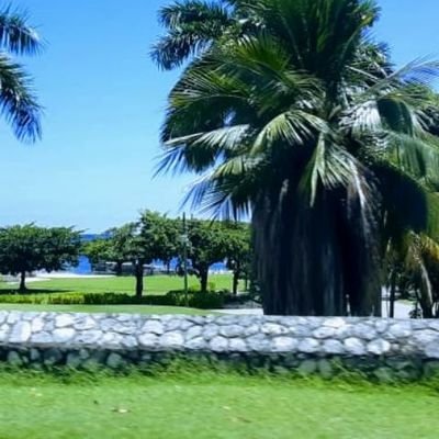 Profile Picture of Curt Redd (@curt_redd) on Twitter