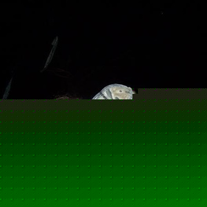 Dustin Tolley - Myspace Profile Picture of Dustin Tolley (@234214127) on Myspace