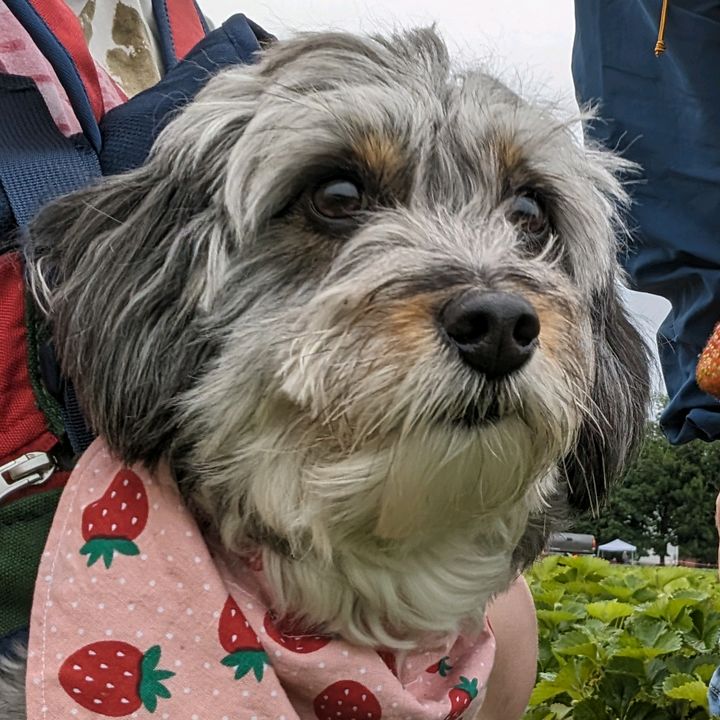 Profile Picture of Winston James Benedict (@winstonjamesbenedict) on Tiktok